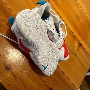 Jordan Shoe in a very good condition